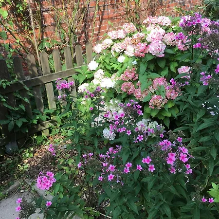 Oste-anker By Interhome Ferienhaus