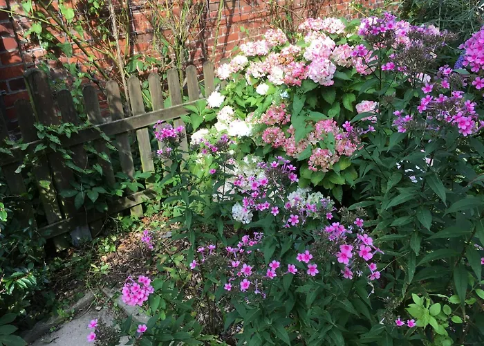 Oste-anker By Interhome Prázdninový dům